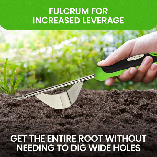 Stainless Steel Garden Dandelion Weeder