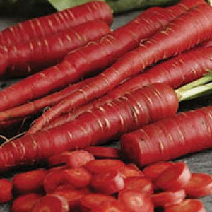 CARROT Seeds, Atomic Red
