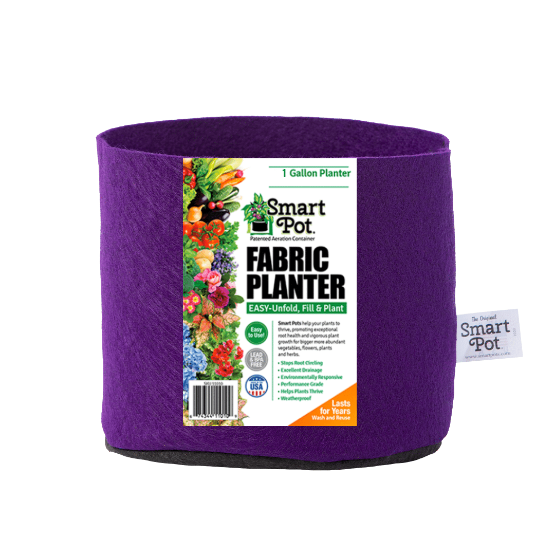 Smart Pot Fabric Planter