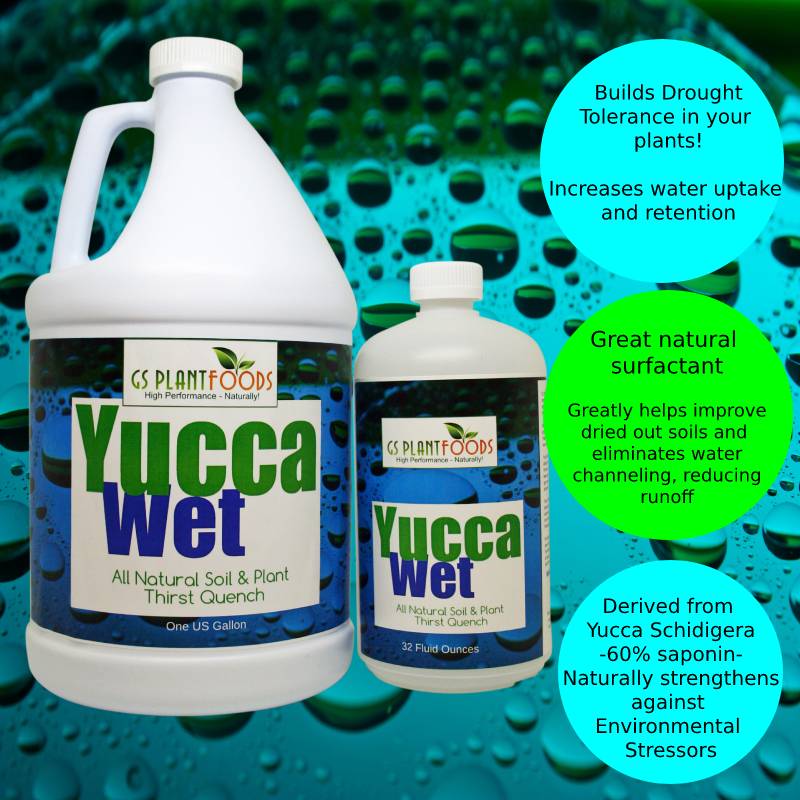 Organic Soil Wetting Agent – Yucca Wet | GS Plant Foods