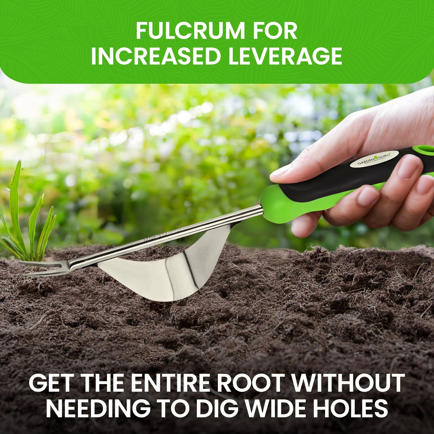 Stainless Steel Garden Dandelion Weeder