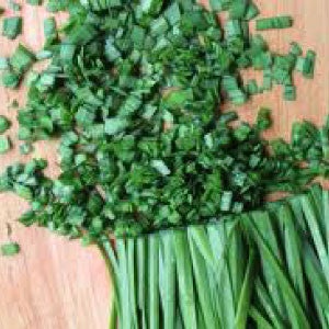 CHIVE Seeds, Allium Schoeno