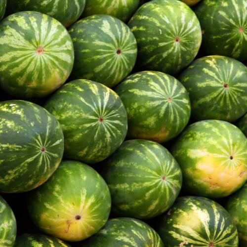 Sugar Baby Watermelon Seeds