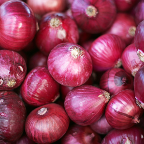Red Creole Red Onion Seeds