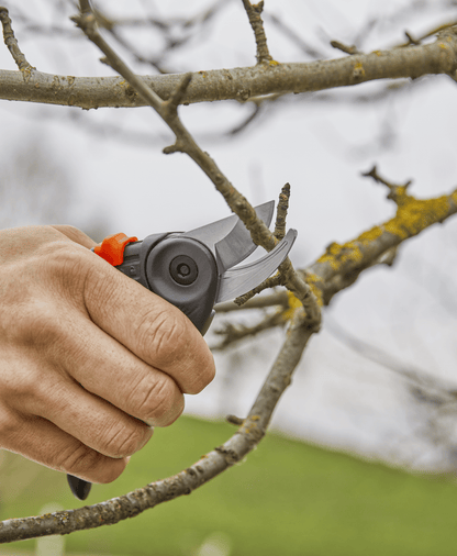 Garden Secateurs ExpertCut