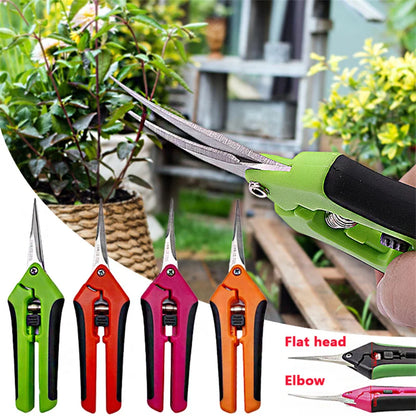 6.5 Inch Gardening Scissors Hand Pruner | Pruning Shears with Stainless Steel Blades