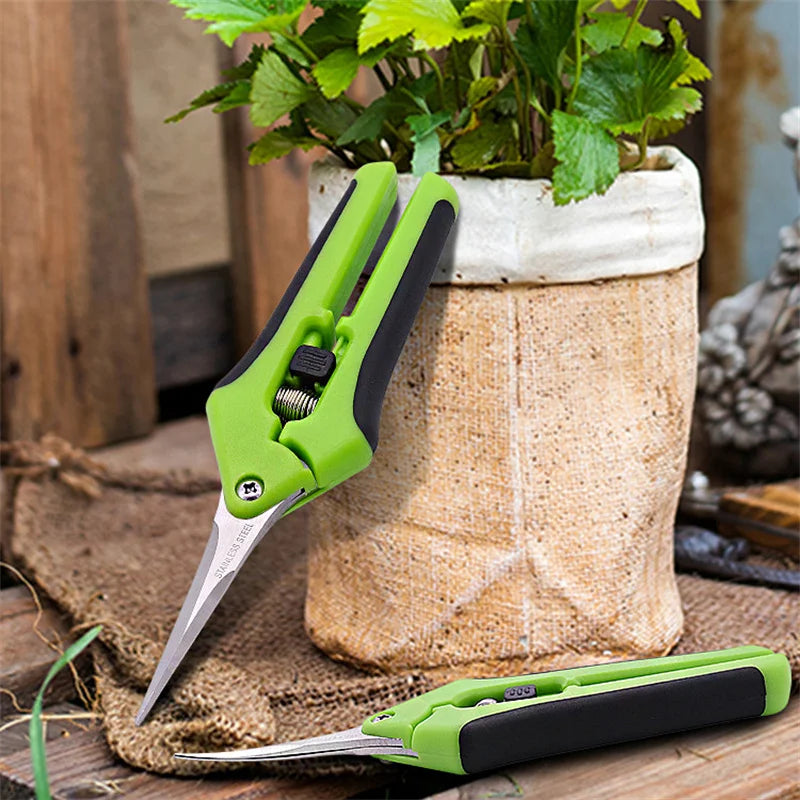 6.5 Inch Gardening Scissors Hand Pruner | Pruning Shears with Stainless Steel Blades