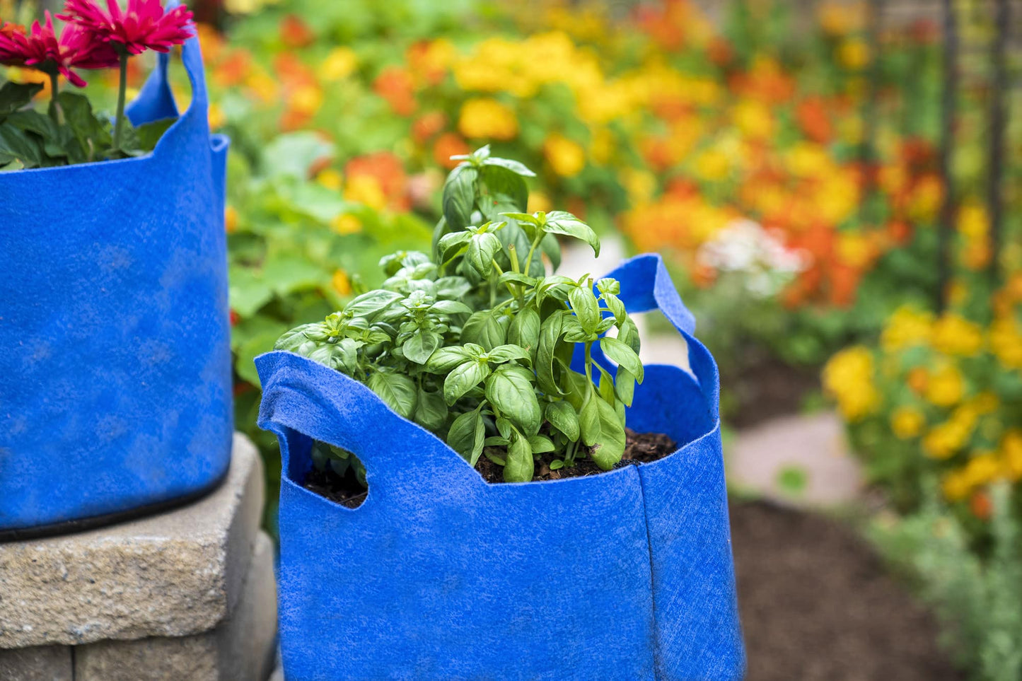 Smart Pot Fabric Planter