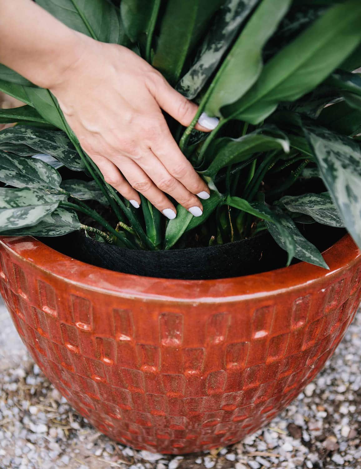 Smart Pot Fabric Planter