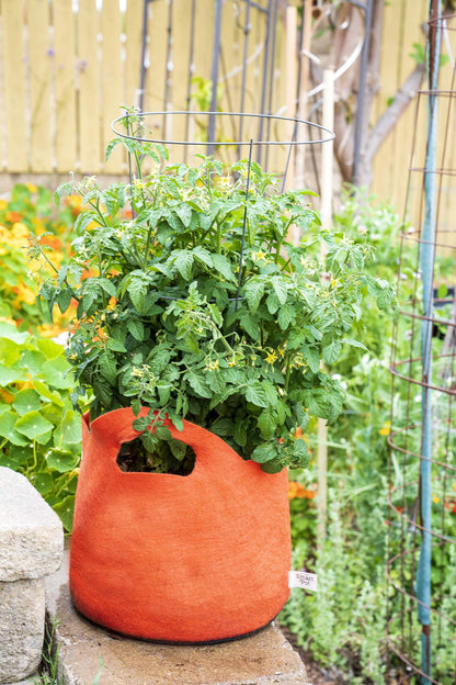 Smart Pot Fabric Planter
