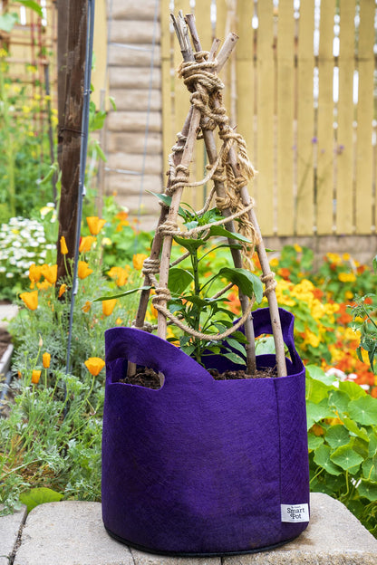 Smart Pot Fabric Planter