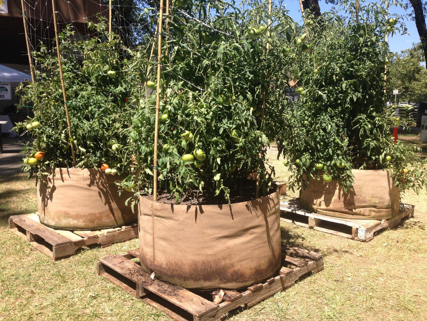 Smart Pot Fabric Planter