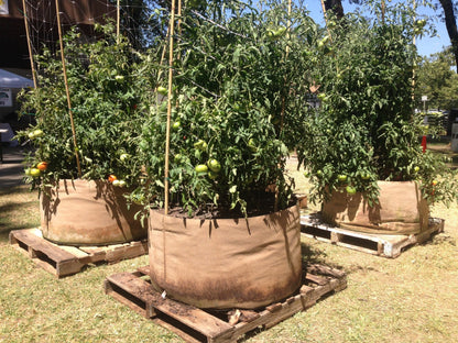Smart Pot Fabric Planter