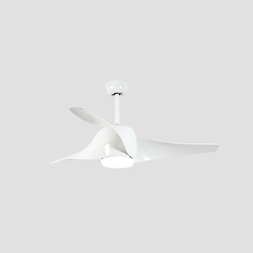 Vintage Akash Ceiling Fan Light