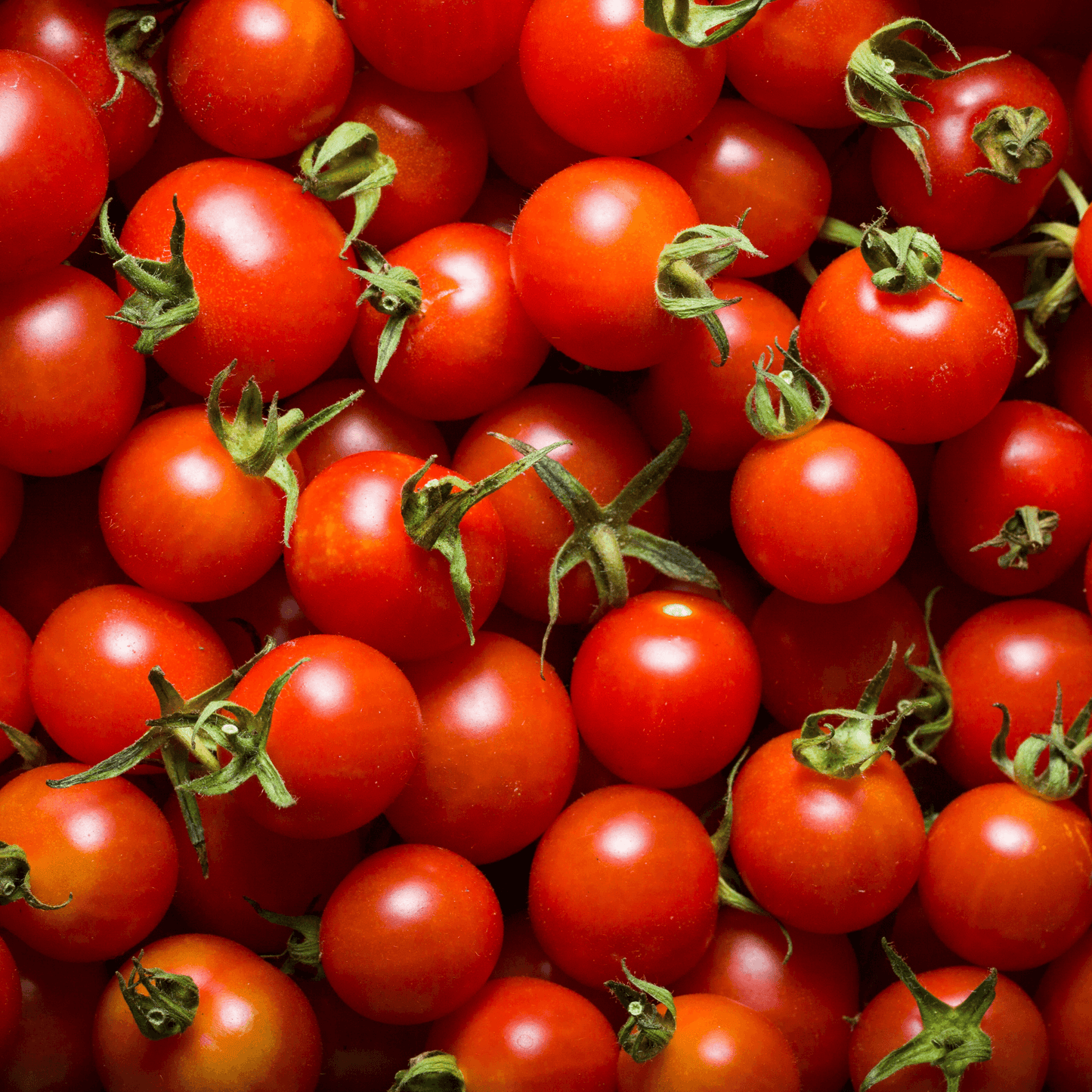Cherry Tomato Seeds