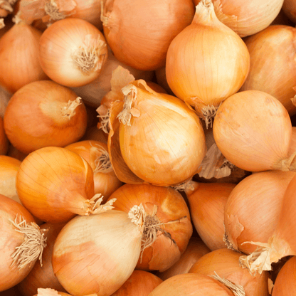 Yellow Onion Seeds